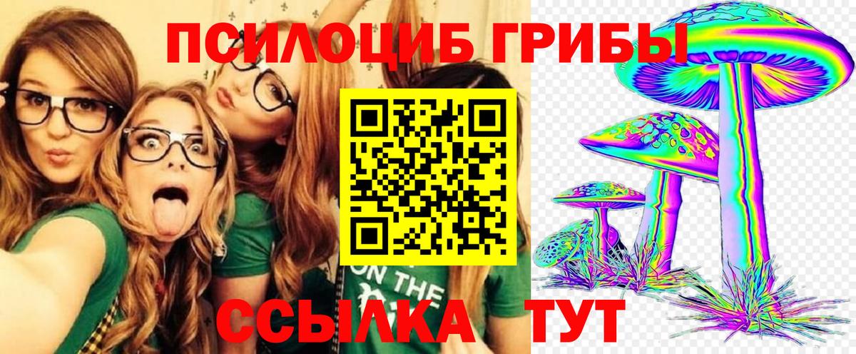 Псилоцибиновые грибы Cubensis  Вход с VPN  Сорочинск  Псилоцибиновые грибы мухоморы 