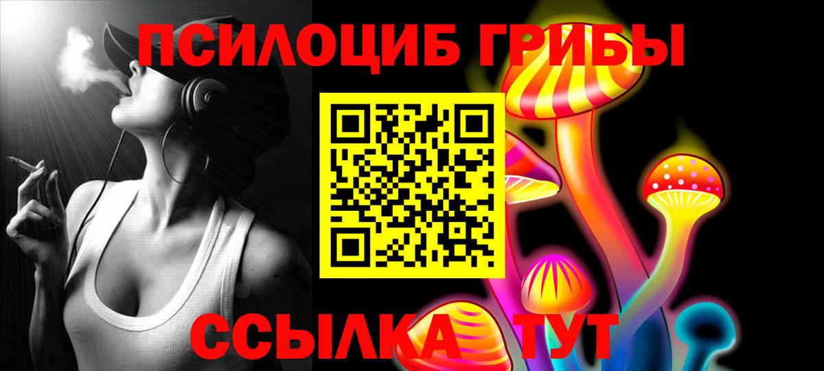 Псилоцибиновые грибы мицелий Сорочинск